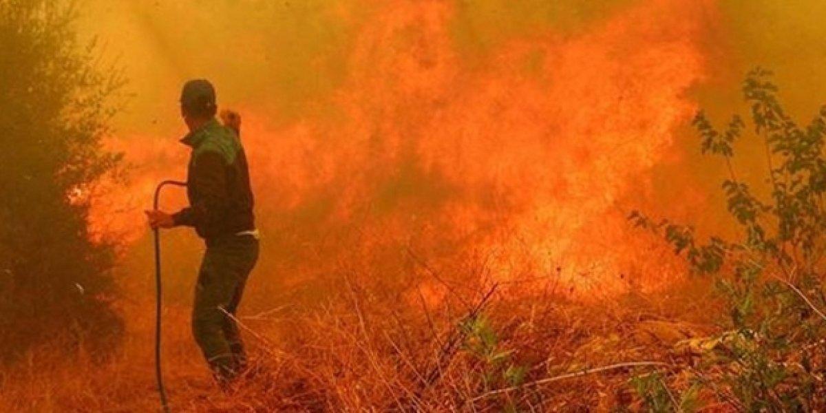 Marmaris yangınının büyümesini