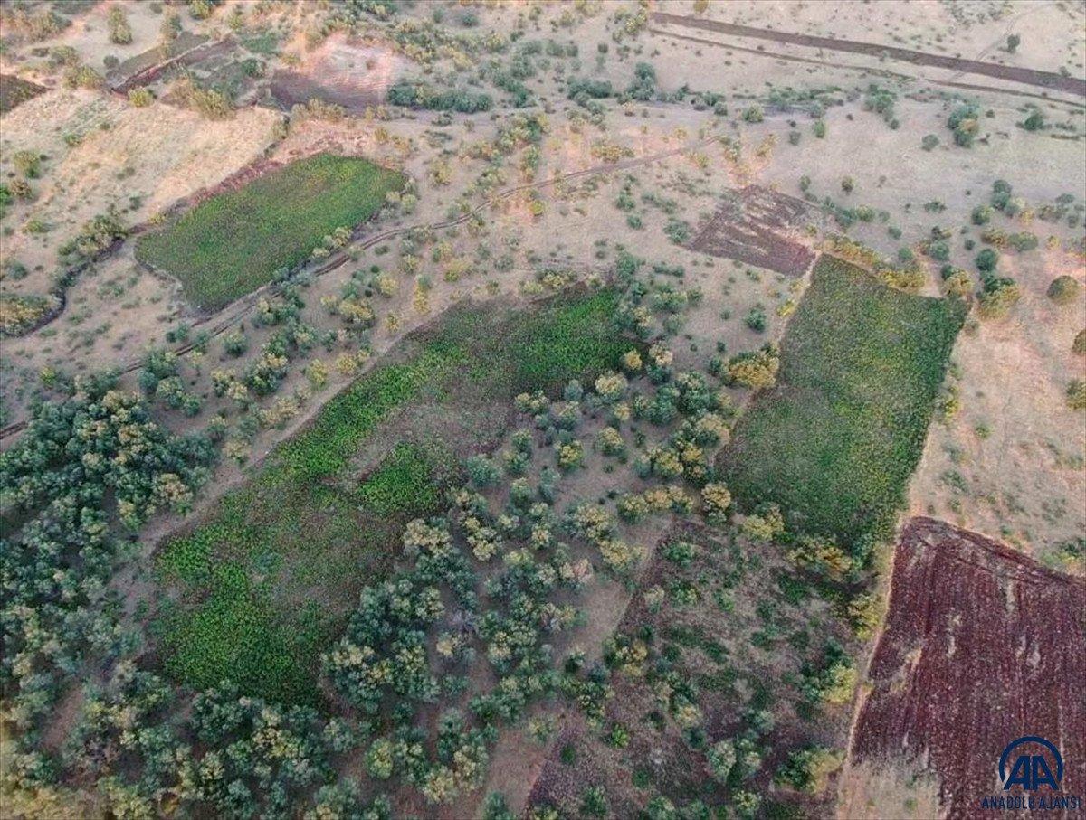 Diyarbakır'da Eren Abluka-19 operasyonu başlatıldı