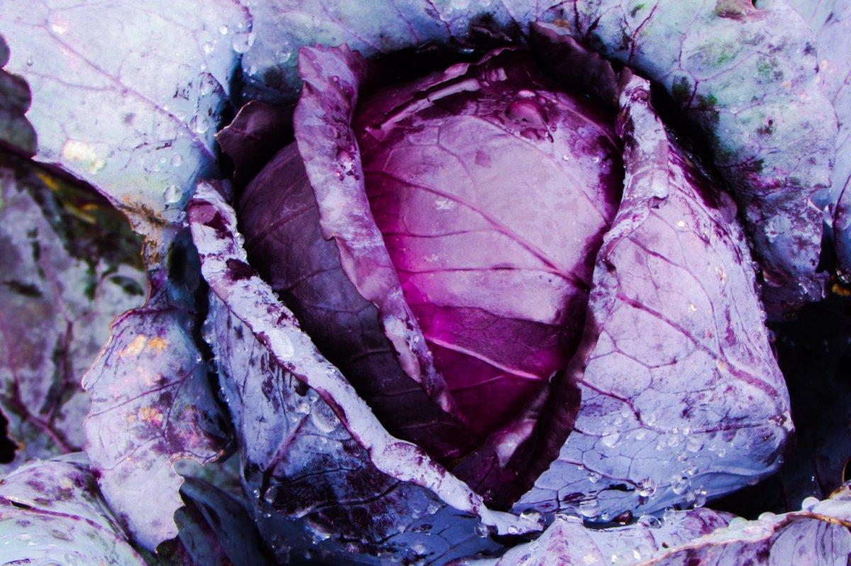 Haftada en az bir kez yemeniz gereken 10 sebze