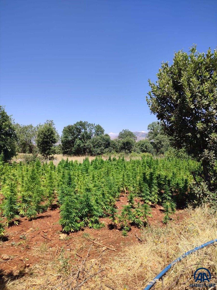 Diyarbakır'da Eren Abluka-19 operasyonu başlatıldı