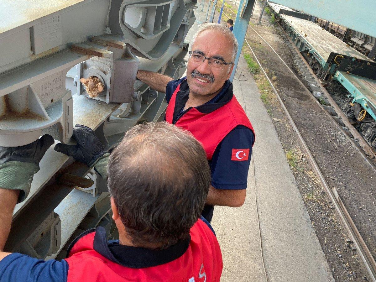 Sivas'ta vagon bojisine sıkışan kedi 'zeytinyağı' ile kurtarıldı