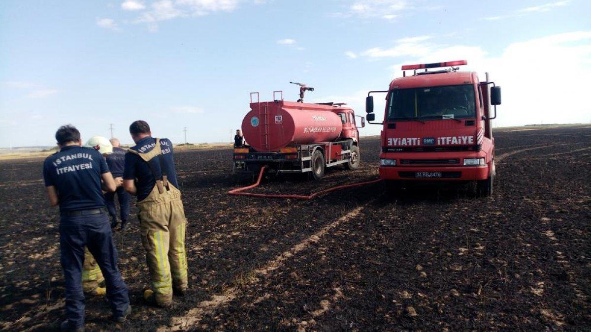 İstanbul-Tekirdağ sınırında 500 dönümlük buğday yandı