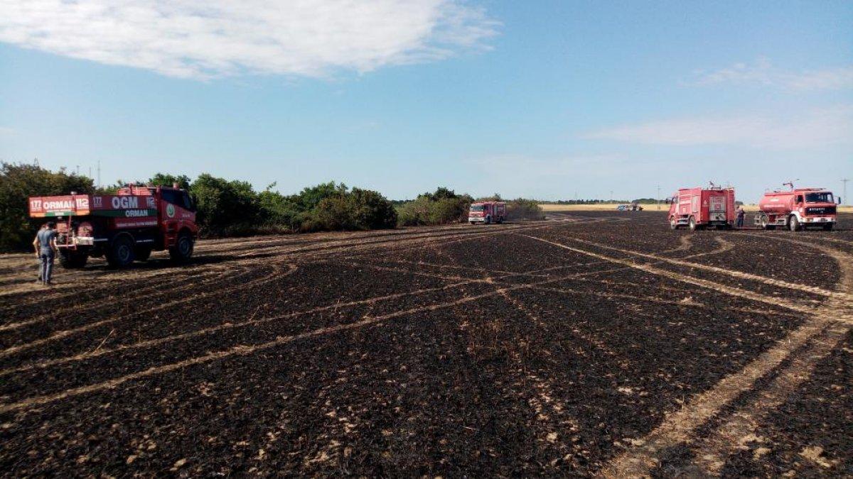 İstanbul-Tekirdağ sınırında 500 dönümlük buğday yandı