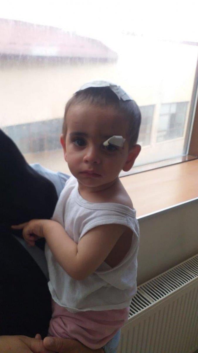 Ağrı'da sokak köpeklerinin saldırdığı minik Asaf yaşamını yitirdi