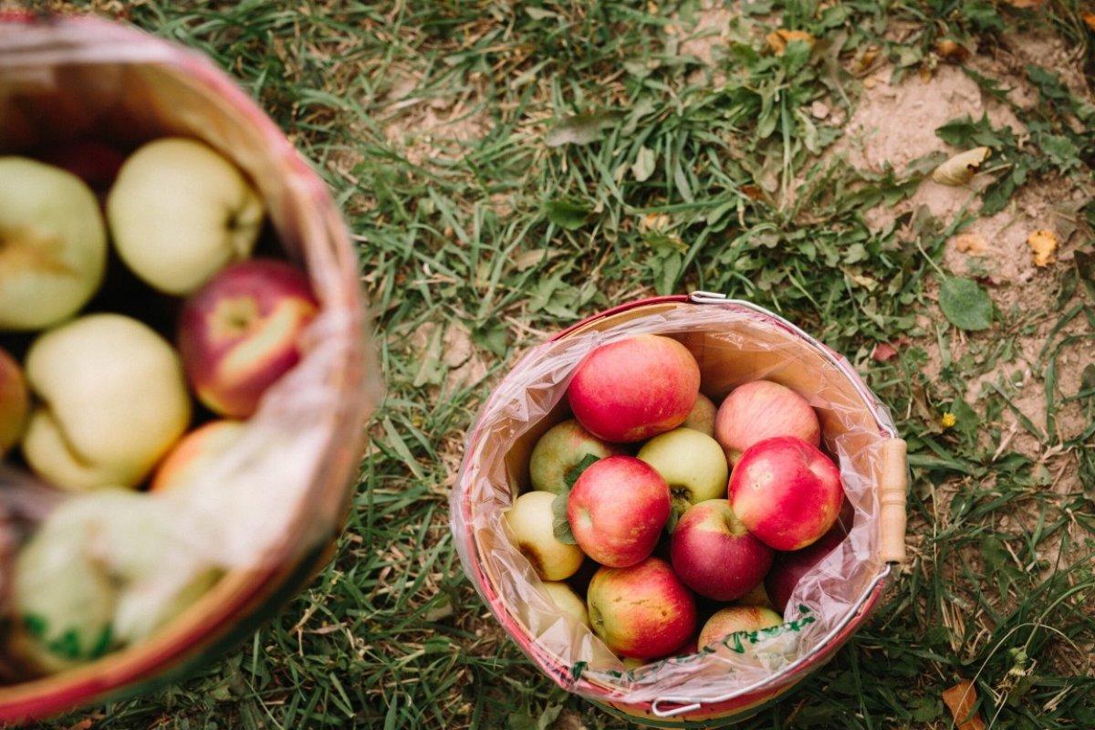 Cilt üzerinde inanılmaz özelliklere sahip 15 süper besin
