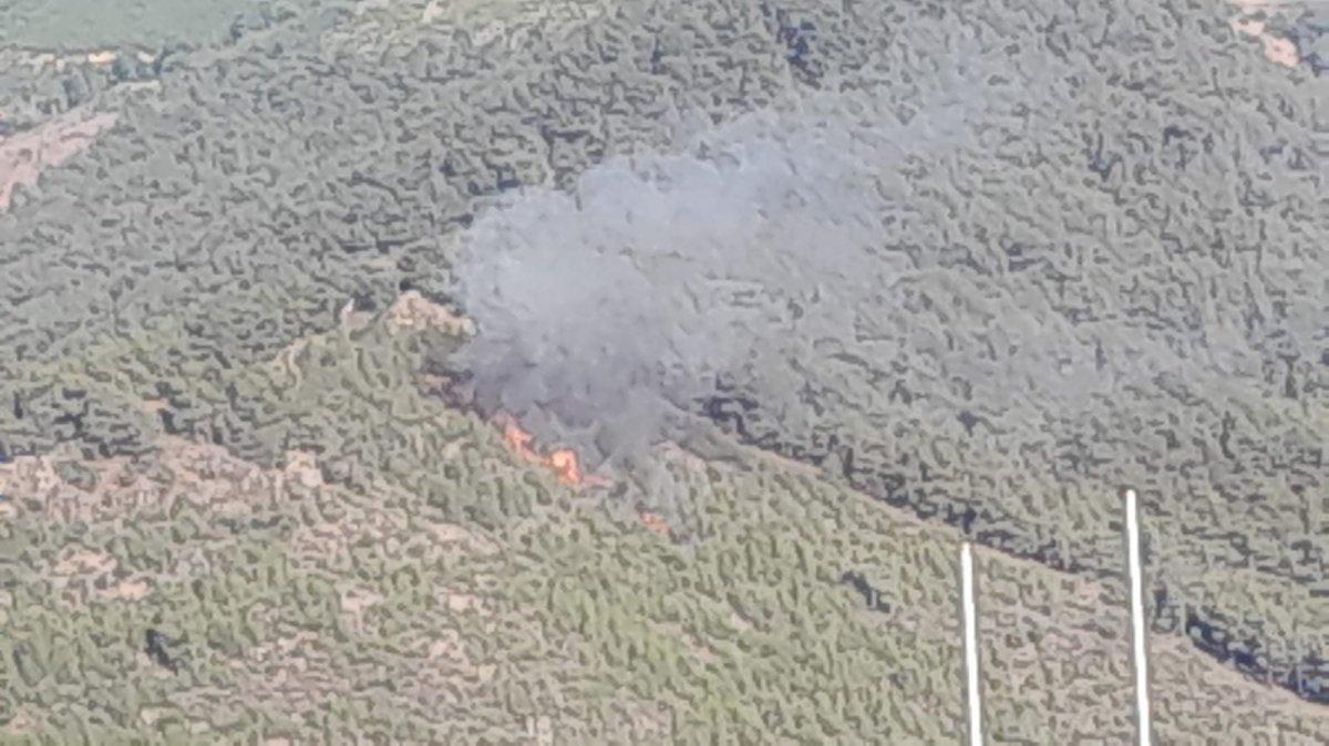 İzmir’de Bergama ve Dikili’de yangın