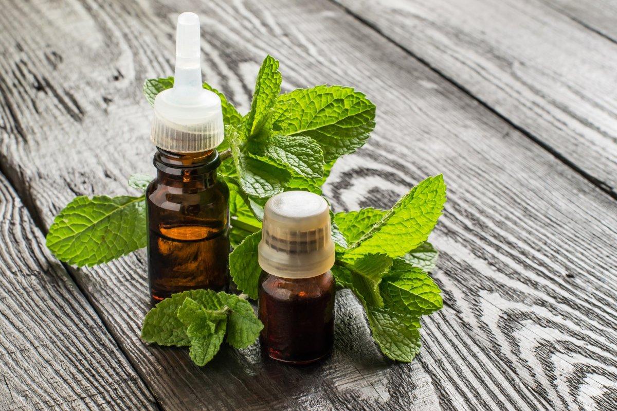 Asla geri dönmeyecekler! Örümcekleri evden uzaklaştırmak için 5 doğal yöntem