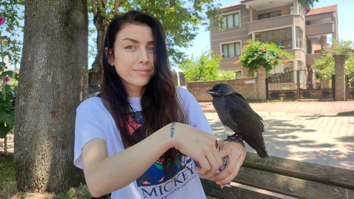 Sakarya'da kargasına gözü gibi bakıyor