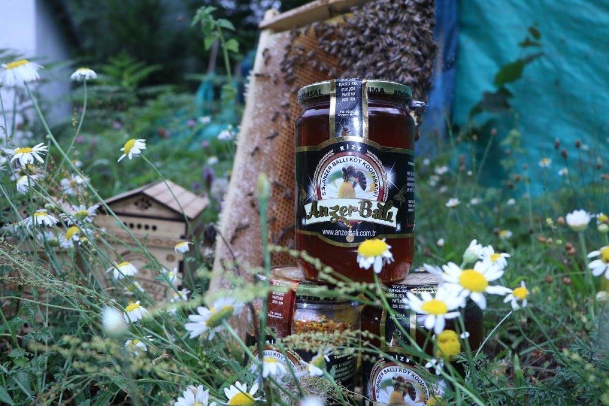 Rize'nin Anzer balının kilosu 2 bin lira