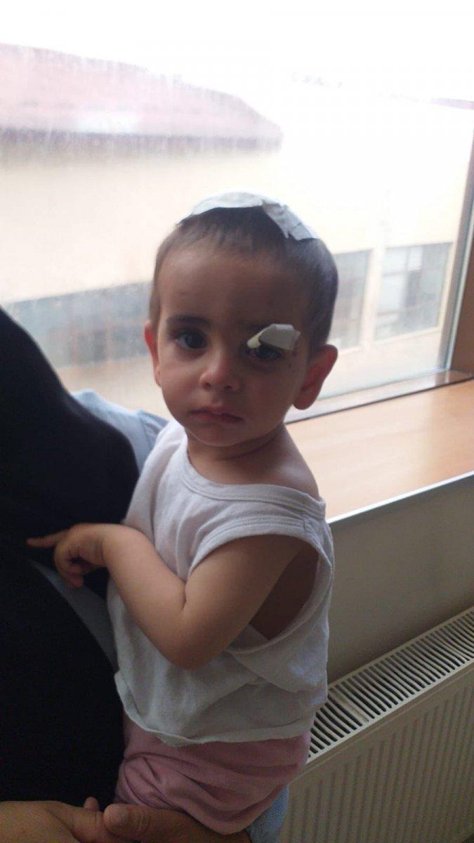 Ağrı'da köpek saldırısında ölen çocuğun ailesi konuştu