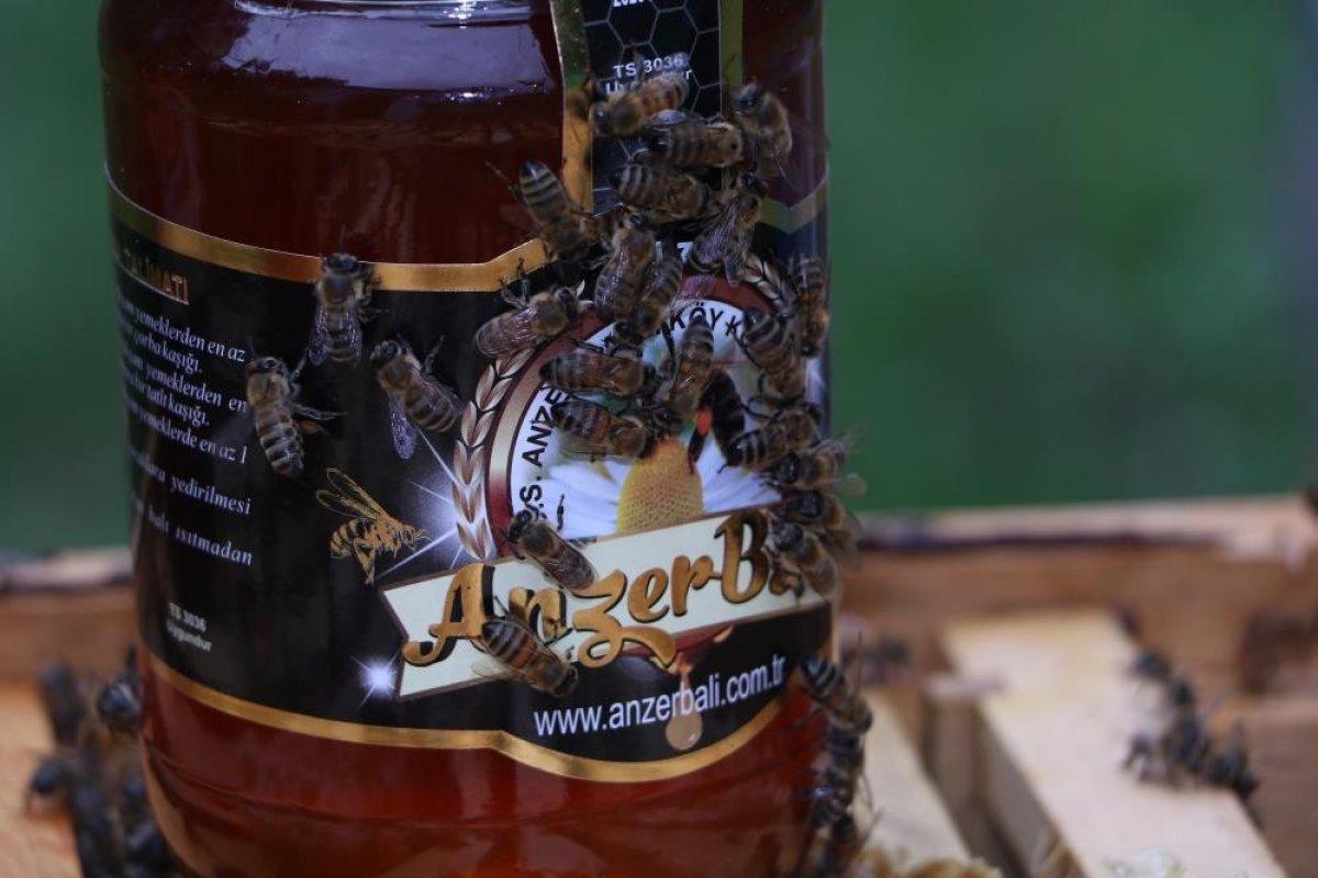 Rize'nin Anzer balının kilosu 2 bin lira