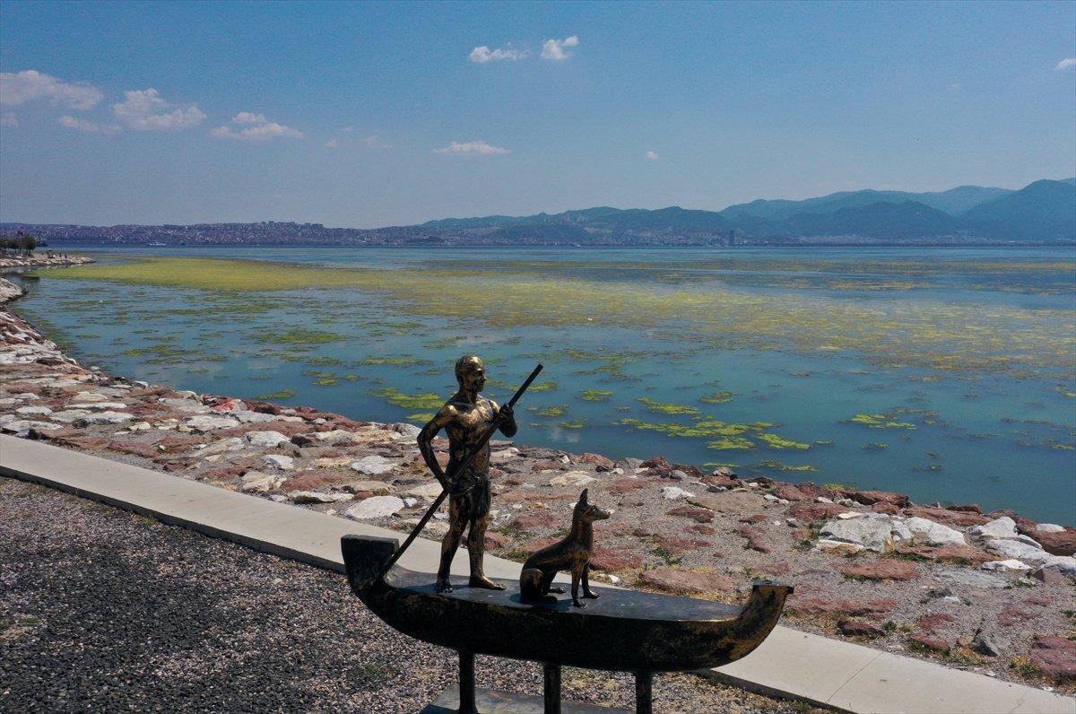 İzmir'deki Bostanlı sahilini yosunlar kapladı