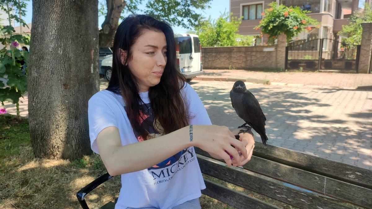 Sakarya'da kargasına gözü gibi bakıyor