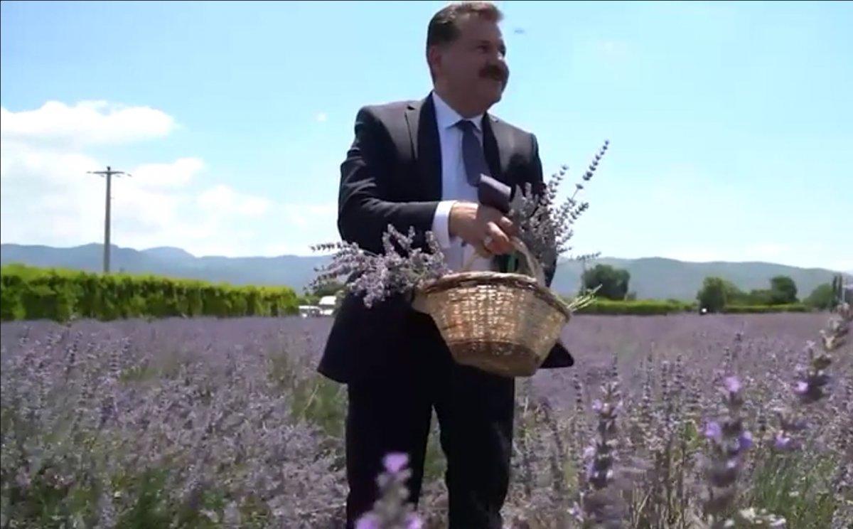 Kaz Dağları eteklerinde, Aromaterapi Festivali