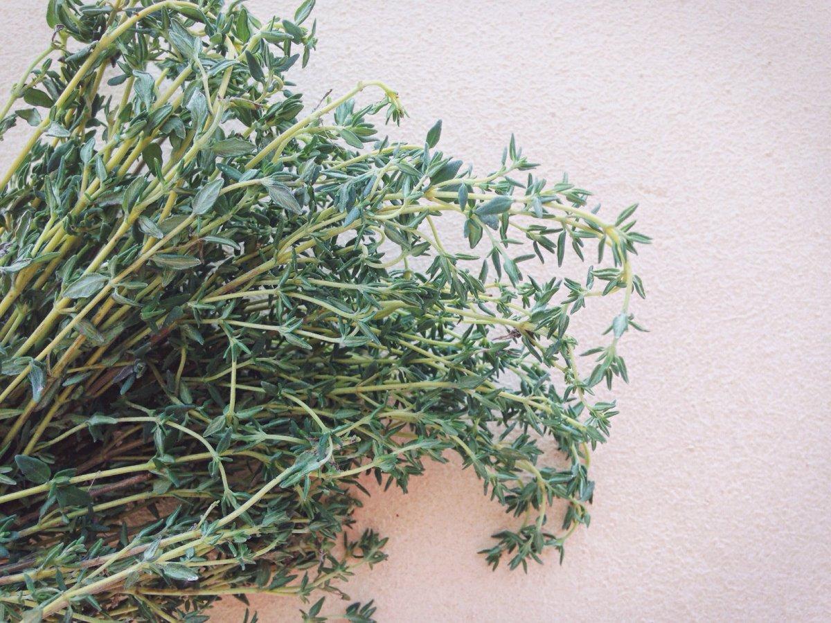 Kimyasallara gerek yok! Sivrisinekleri ve böcekleri uzak tutan 7 süper bitki