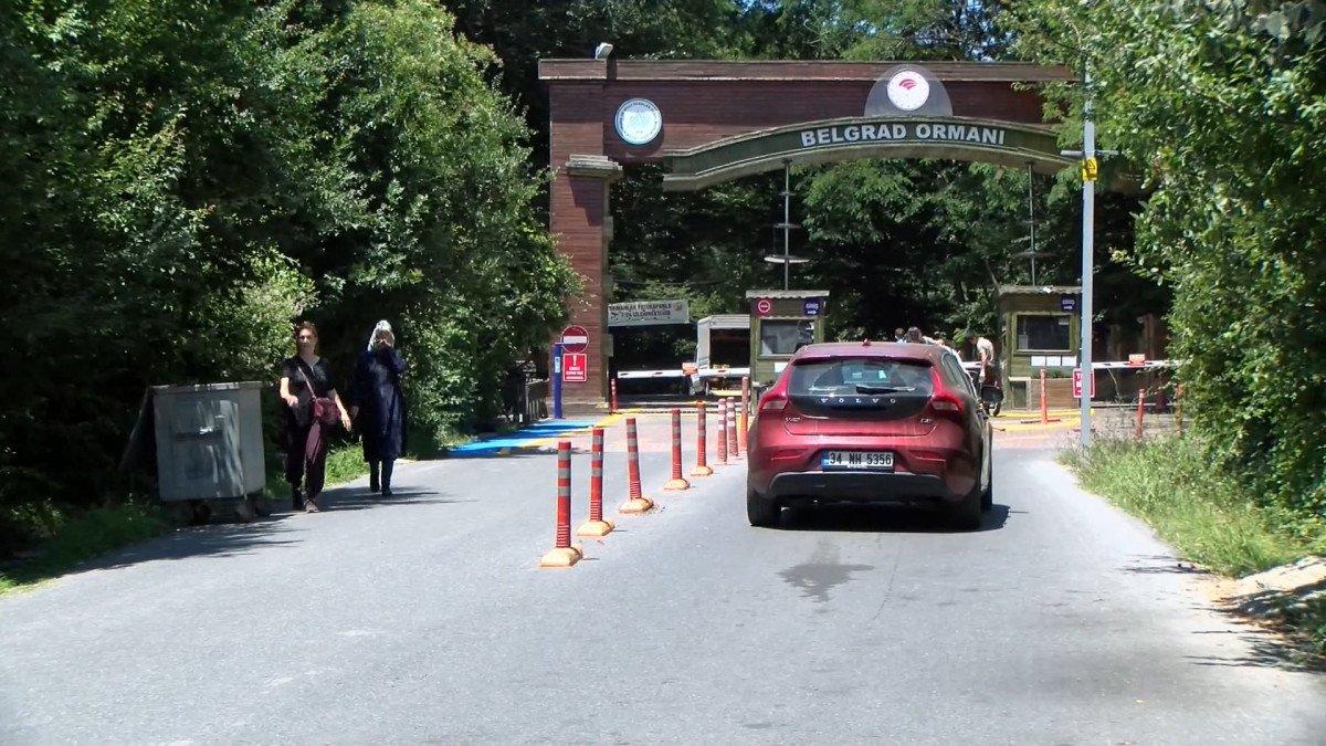 İstanbul'da ormanlarda ateş yakma yasağı başladı