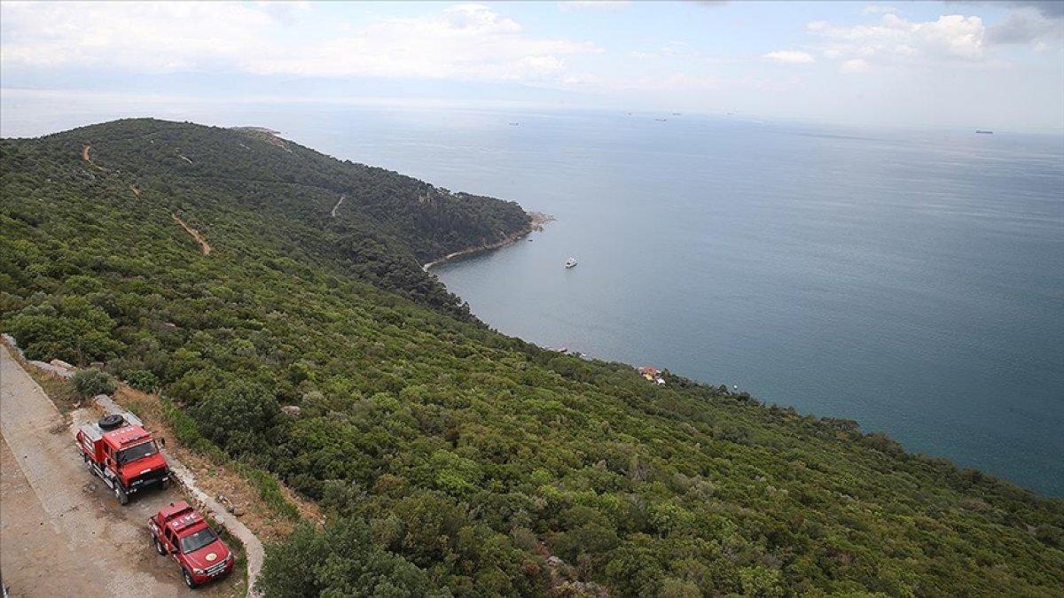 İstanbul'da ormanlarda zararlı böceklere karşı mücadele