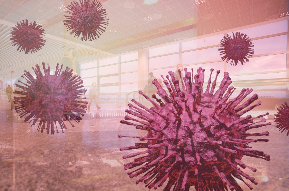 Maymun çiçeği Türkiye'de: Belirtiler, temas vakaları, ne yapmalı?