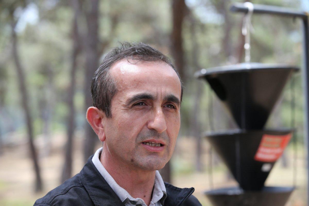 İstanbul'da ormanlarda zararlı böceklere karşı mücadele