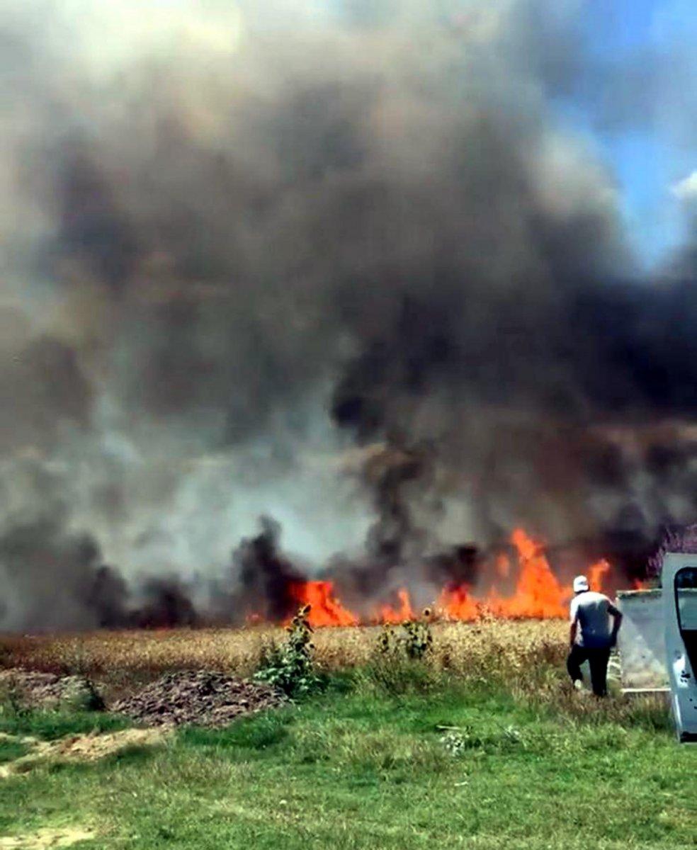 Tekirdağ'da buğday tarlası yandı, 50 dönüm alan kül oldu