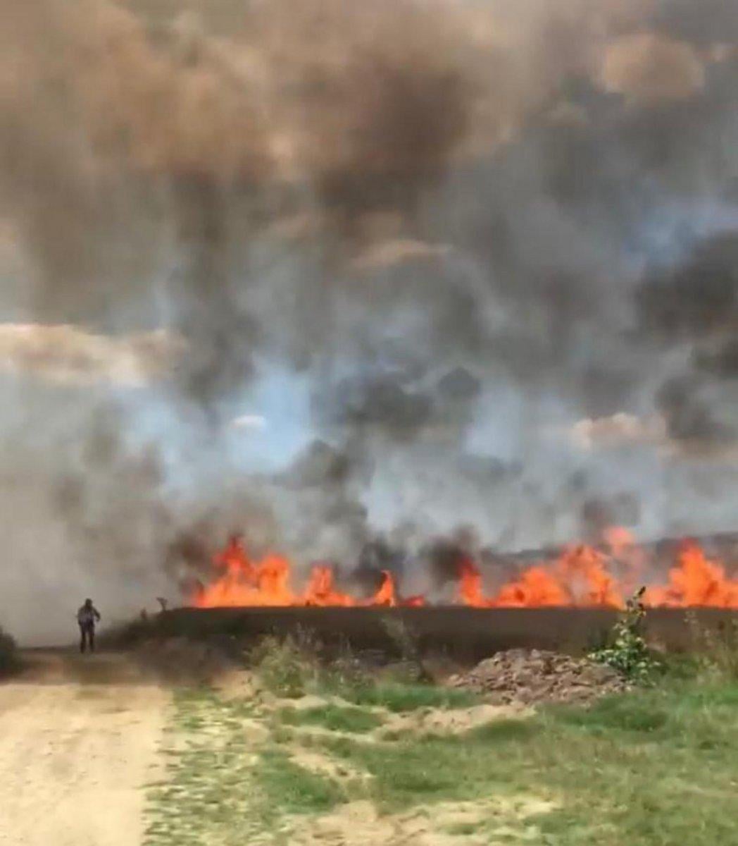 Tekirdağ'da buğday tarlası yandı, 50 dönüm alan kül oldu