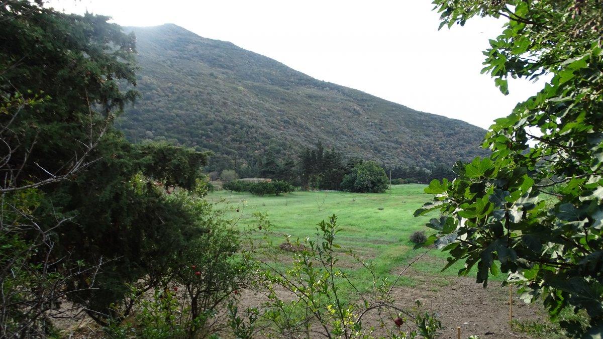 Karaburun'da biyoçeşitlilik çalışmaları sürüyor