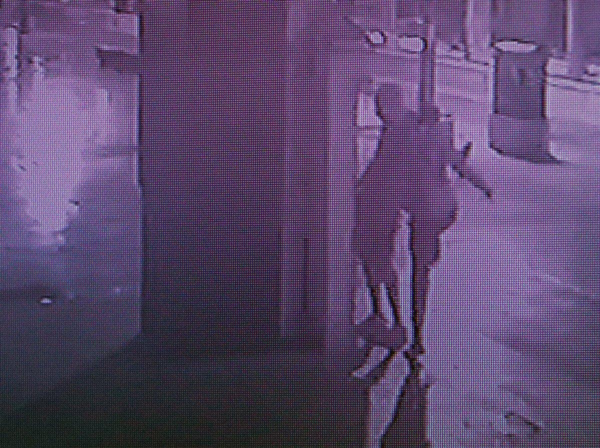 Antalya'daki 'Romalı' heykelini benzin döküp yakan şahıs yakalandı