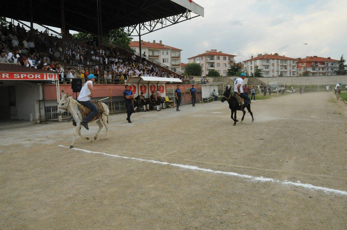 Konya'da eşekler birincilik için yarıştı