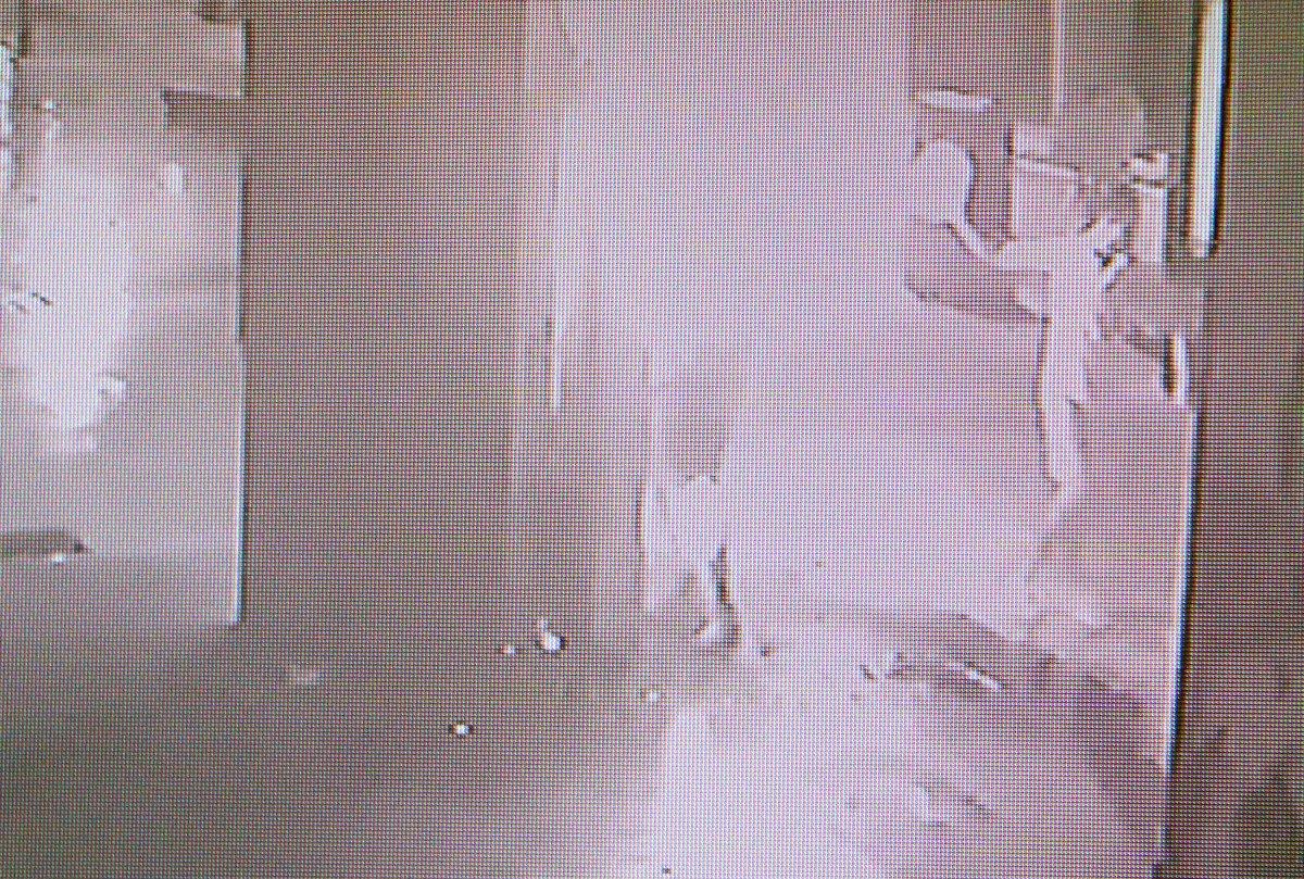 Antalya'daki 'Romalı' heykelini benzin döküp yakan şahıs yakalandı