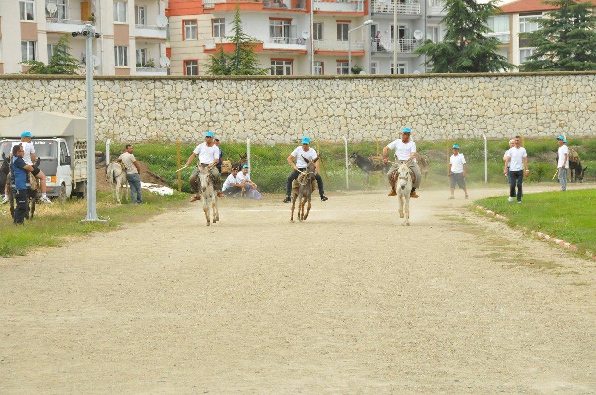 Konya'da eşekler birincilik için yarıştı