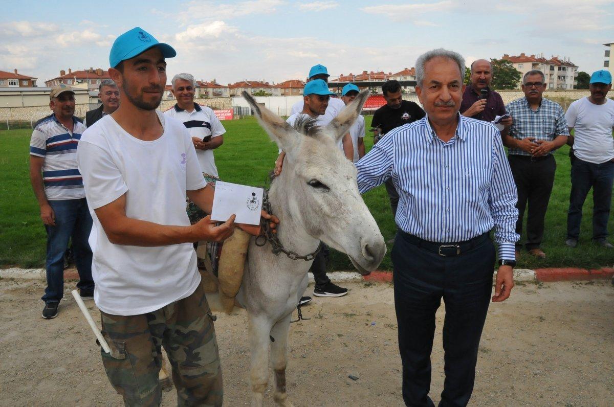 Konya'da eşekler birincilik için yarıştı