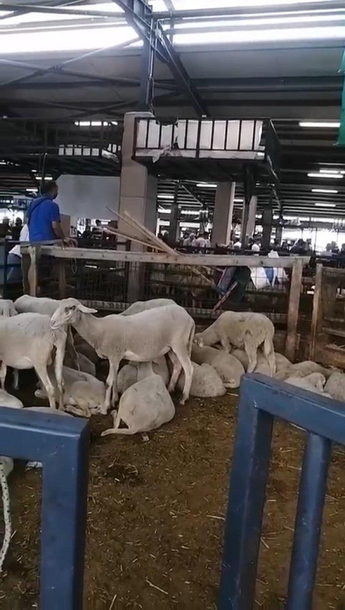 Bursa'da satırlı bıçaklı kavga kamerada