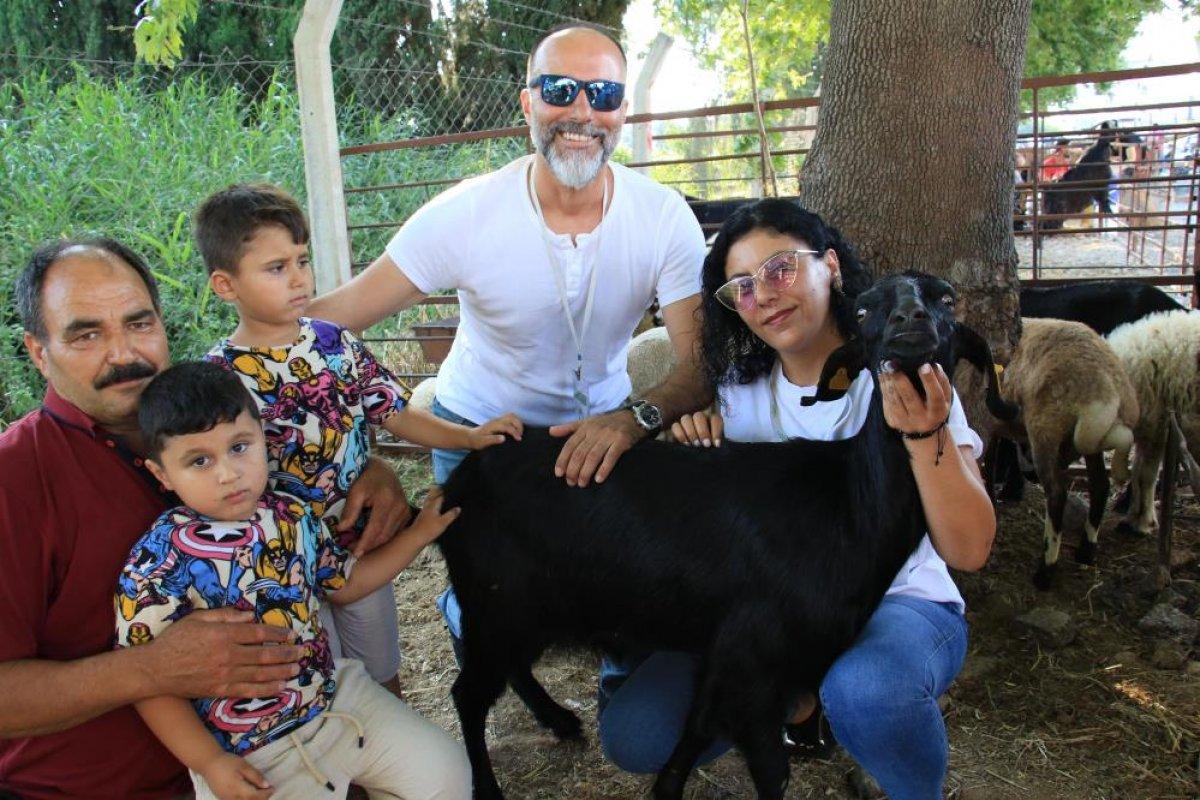 Bayramın ilk firari kurbanlıkları