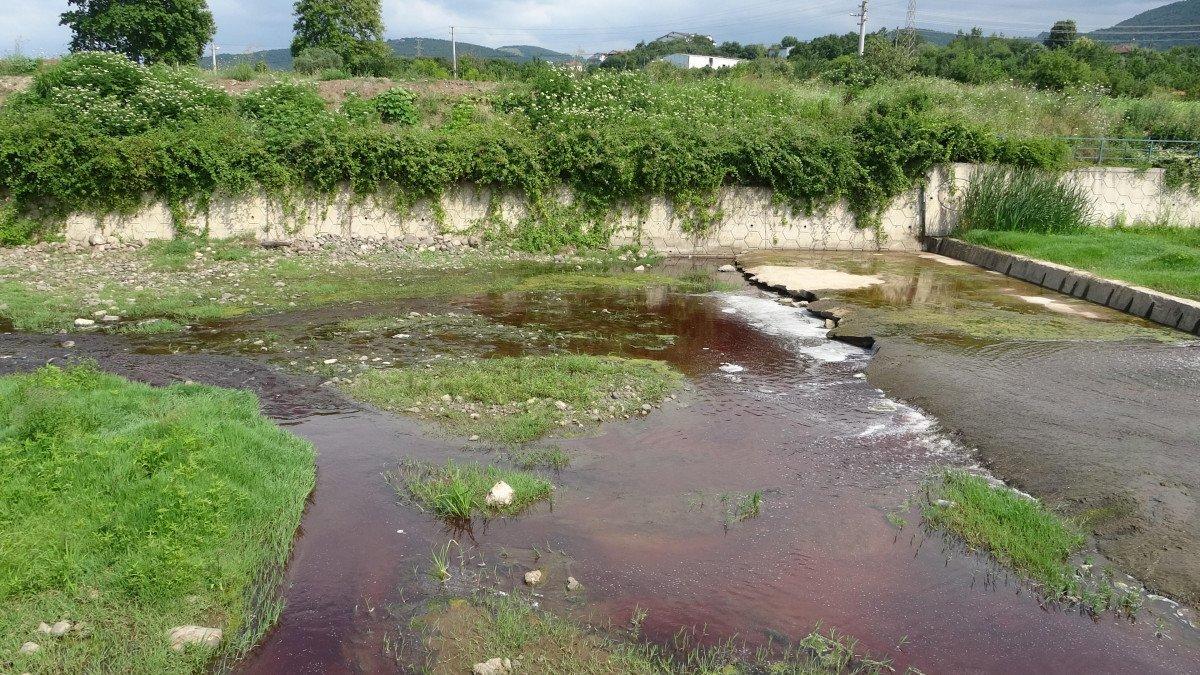 Kocaeli'de deredeki suyun rengi kırmızıya döndü