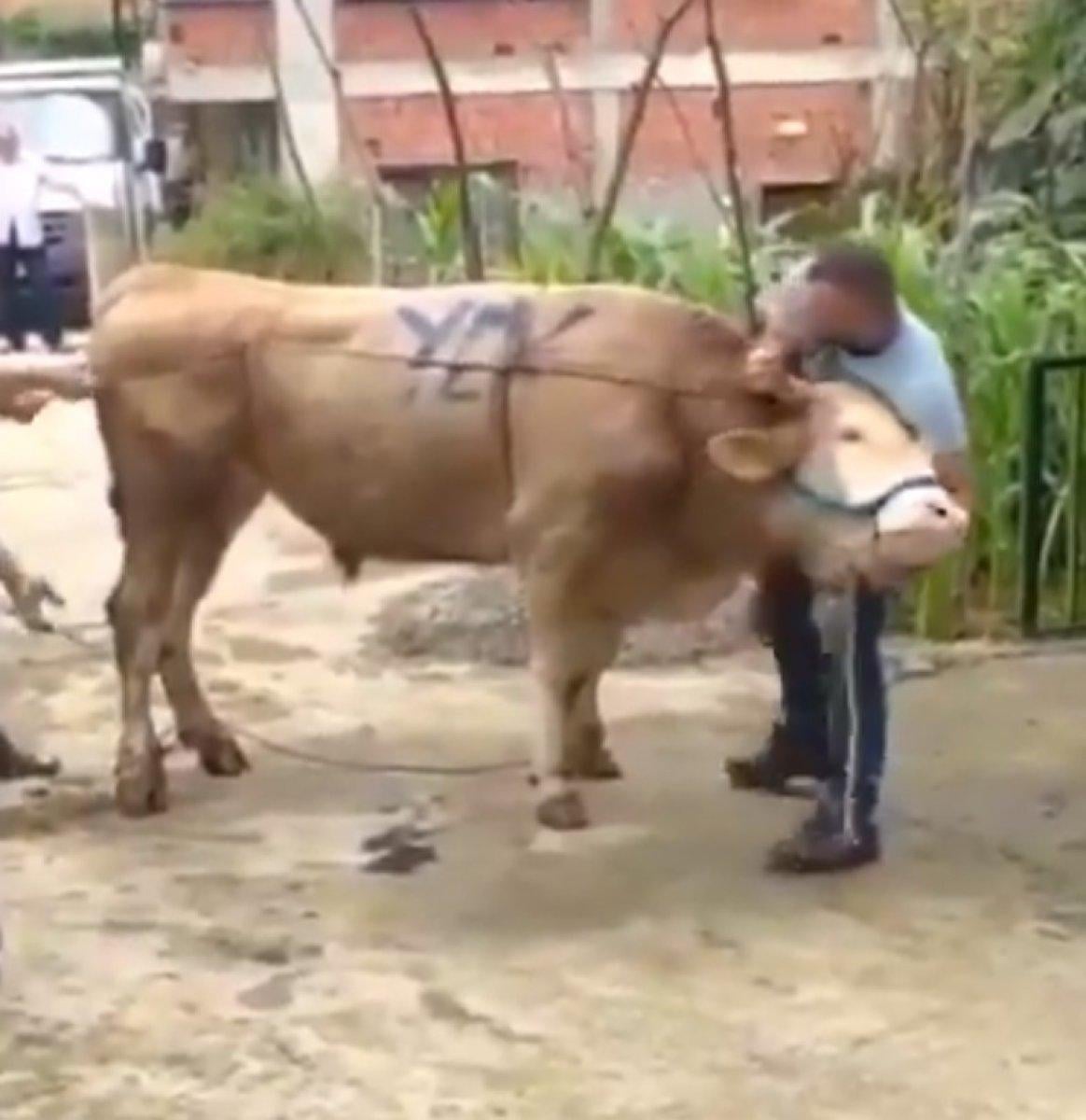 Kurban Bayramı'nda en çok paylaşılan video