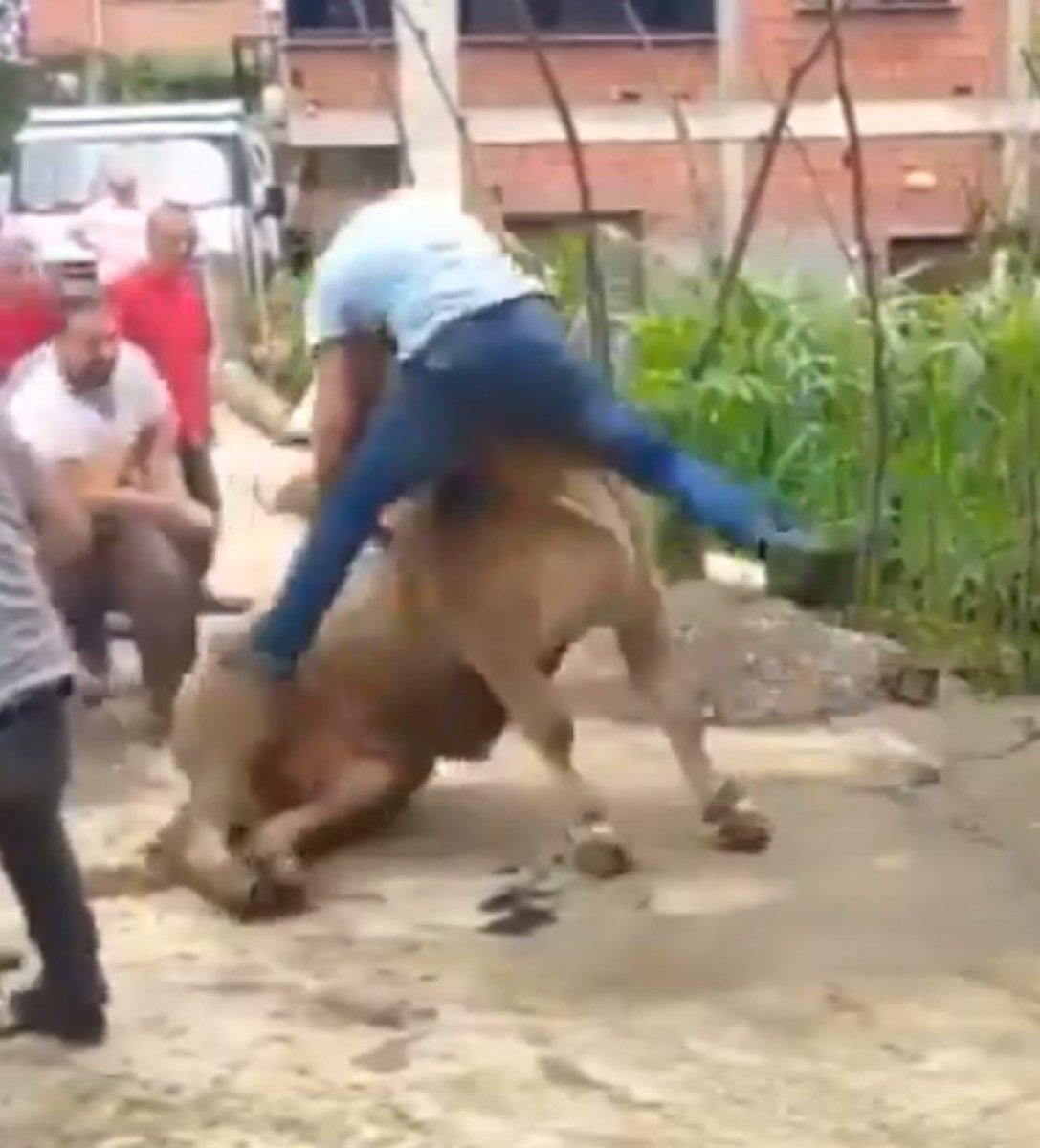 Kurban Bayramı'nda en çok paylaşılan video