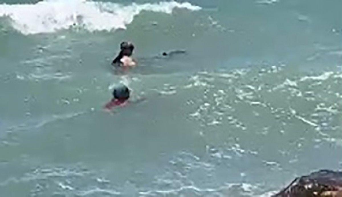 İzmir'de yavrusu ölü doğan yunus, kendini karaya vurdu