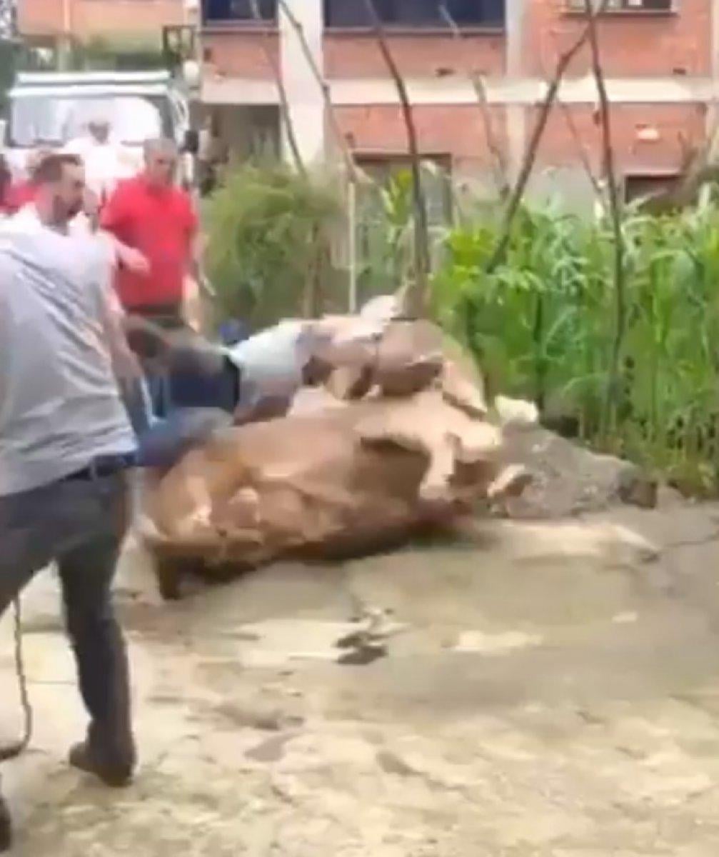 Kurban Bayramı'nda en çok paylaşılan video