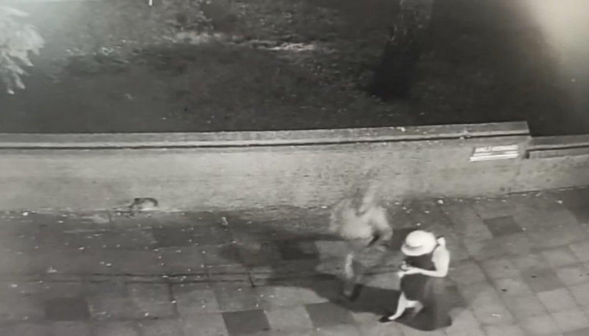 Şişli’deki kapkaççıyı, komiser scooterle sokak sokak gezip yakaladı