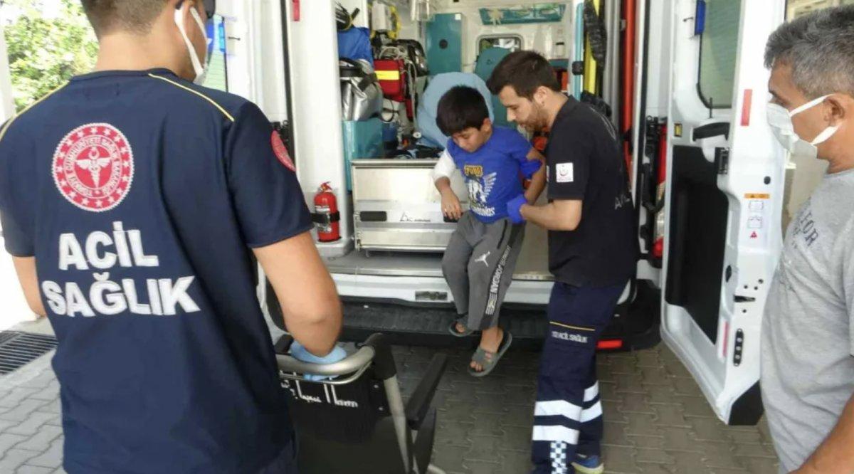 Muğla'da dondurma yerken köpek saldırdı: Çocuk yaralandı