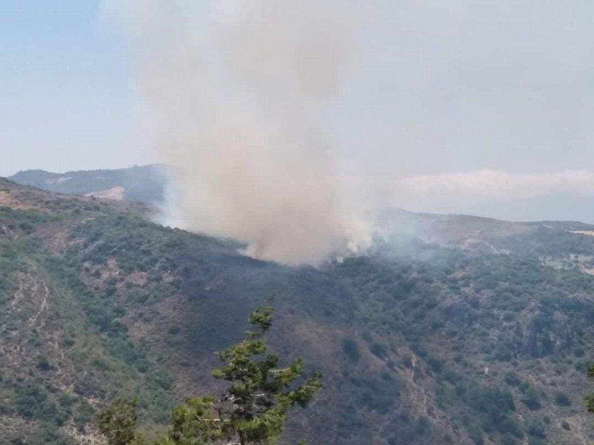 Hatay'da makilik alanda çıkan yangın söndürüldü