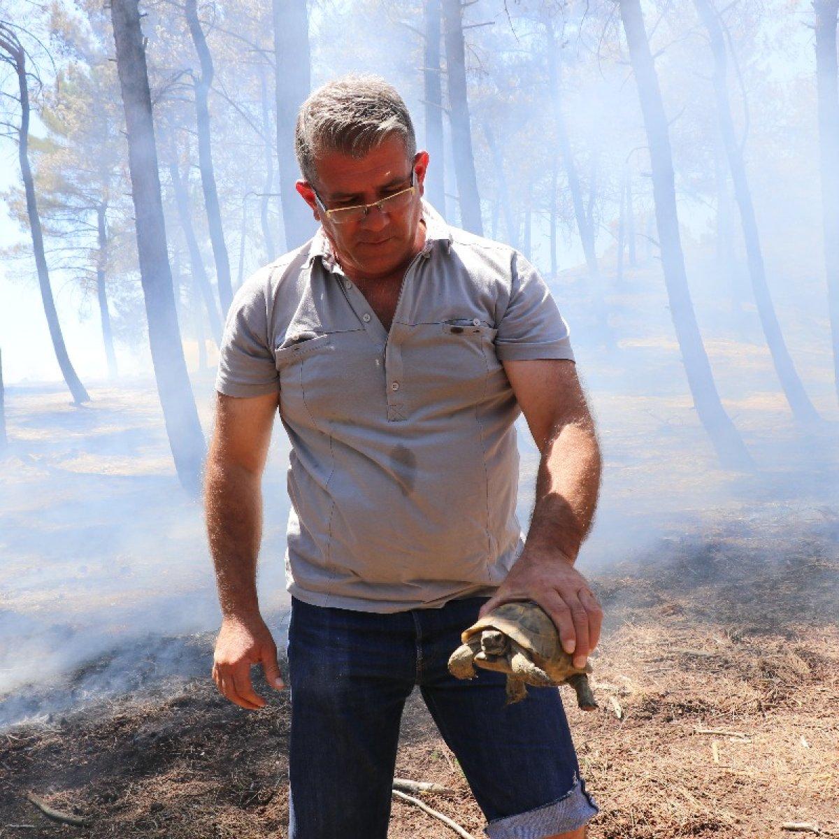 Edirne'de çıkan orman yangını söndürüldü