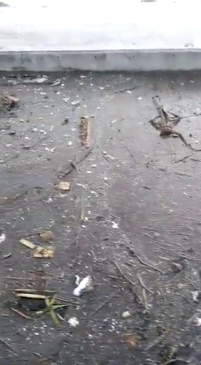 Haliç'teki kirlilik, kameraya yansıdı