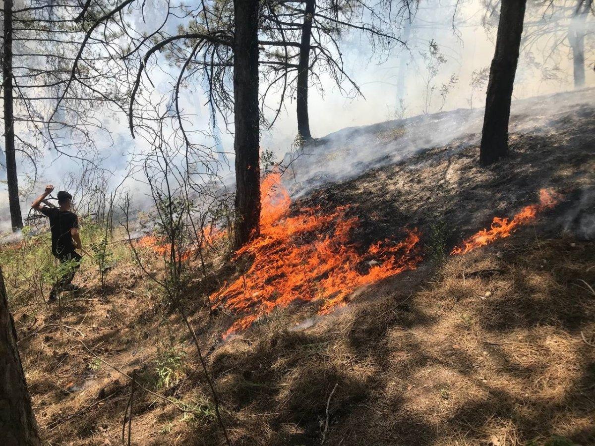 Edirne'de çıkan orman yangını söndürüldü