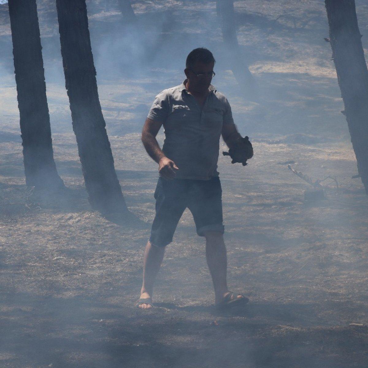 Edirne'de çıkan orman yangını söndürüldü