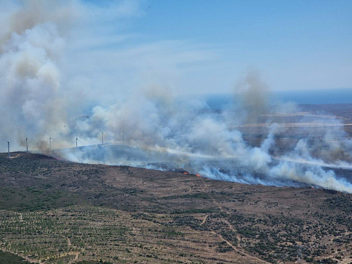 Çeşme'de çıkan yangına müdahale ediliyor