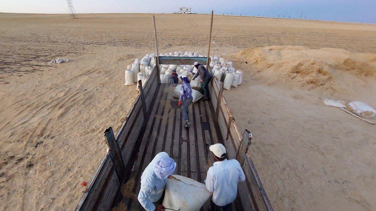 Diyarbakır'da ay ışığında çalışan işçilerinin günlüğü 500 TL