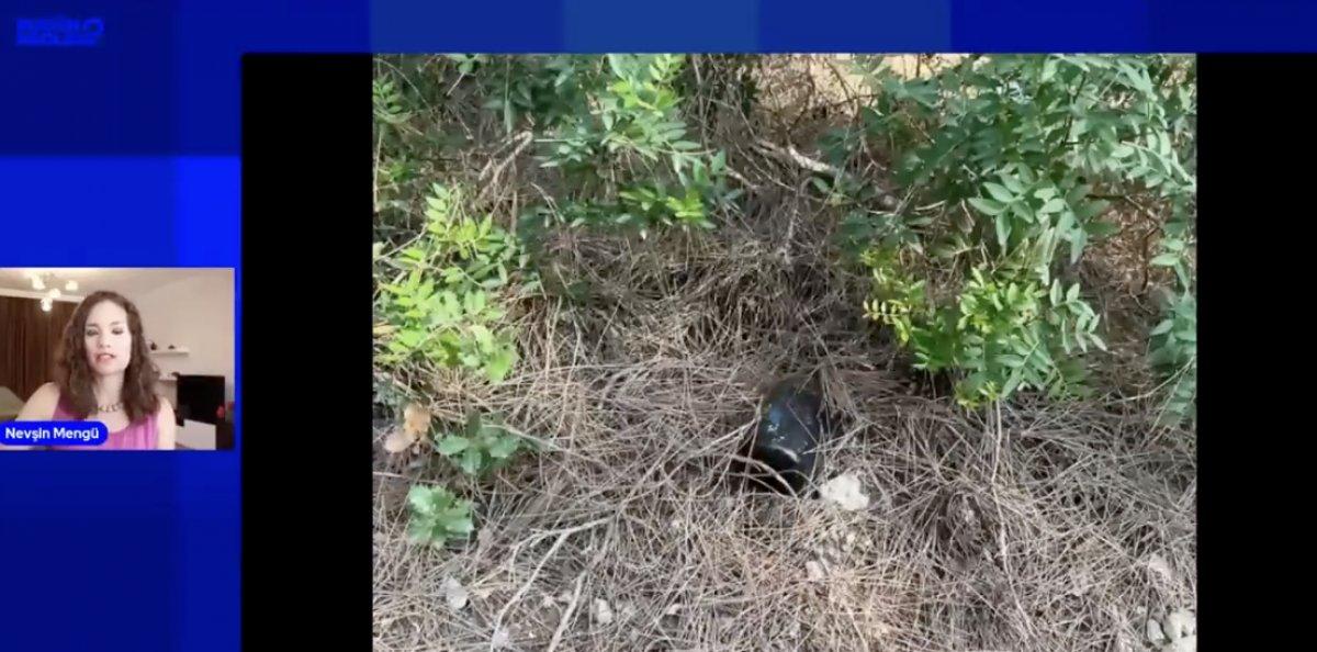 Nevşin Mengü'den ormana çöp atanlara: Ayı oğlu ayı