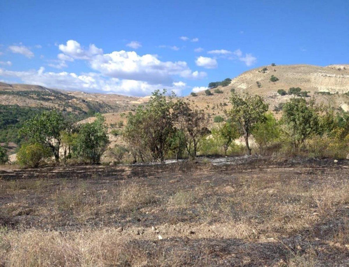 Tunceli’de arazi yangını
