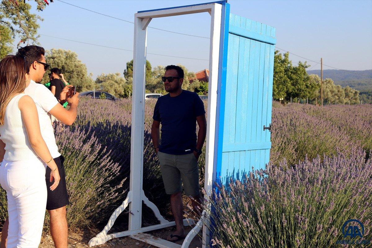 Muğla'da lavanta bahçeleri misafirlerini ağırladı